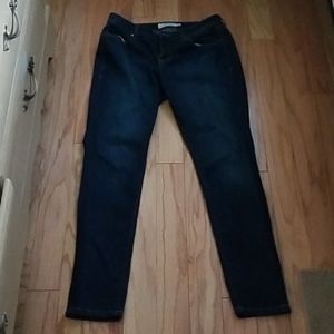 Torrid Denim Jeggings